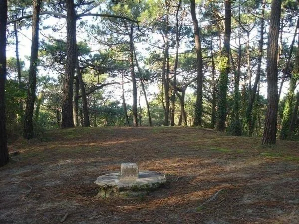 le bois des Eloux