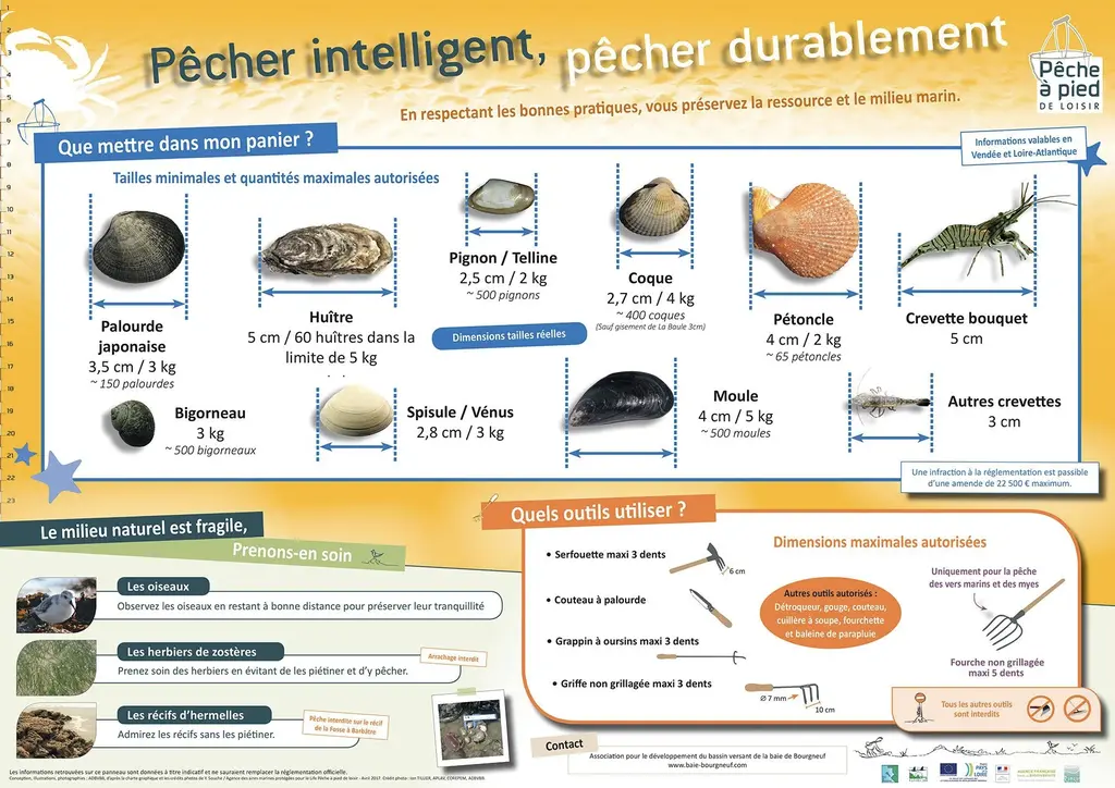 pêcher durablement