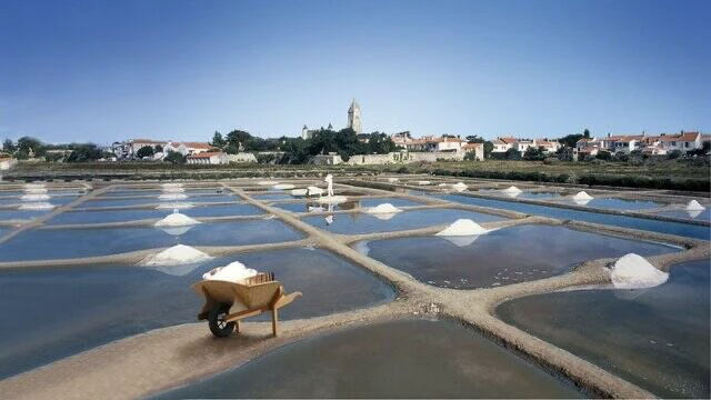 Les marais salants