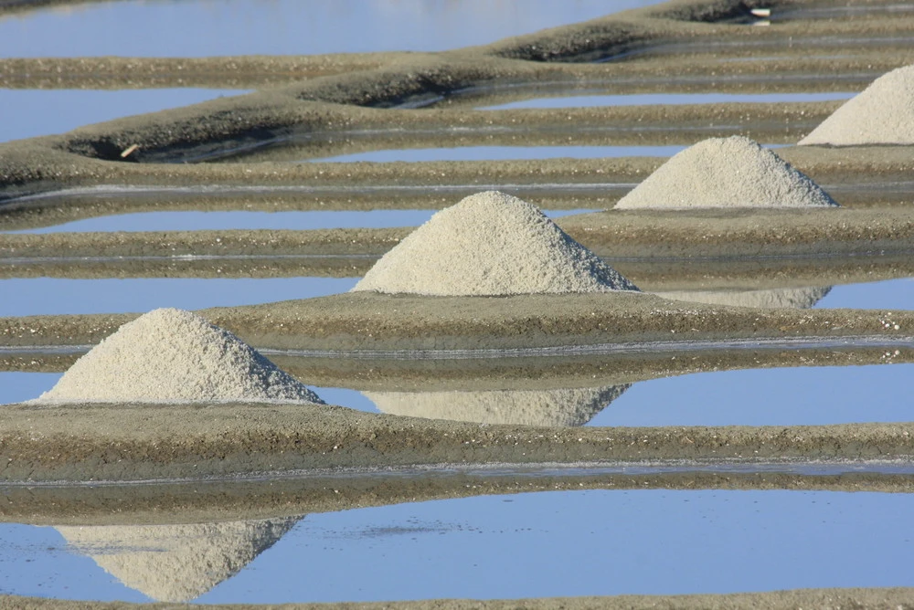 Les marais salants