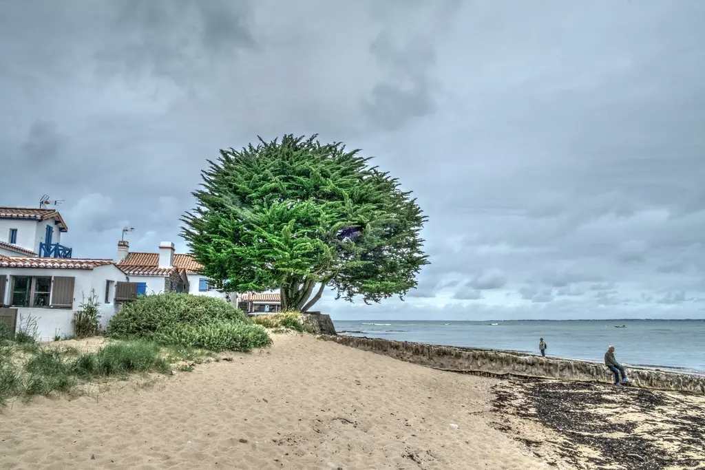 plage du petit vieil