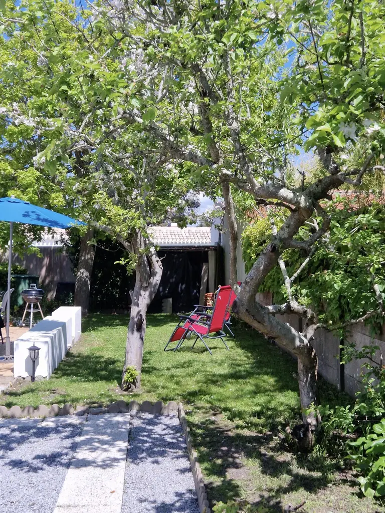 jardin jardin vue de la pelouse